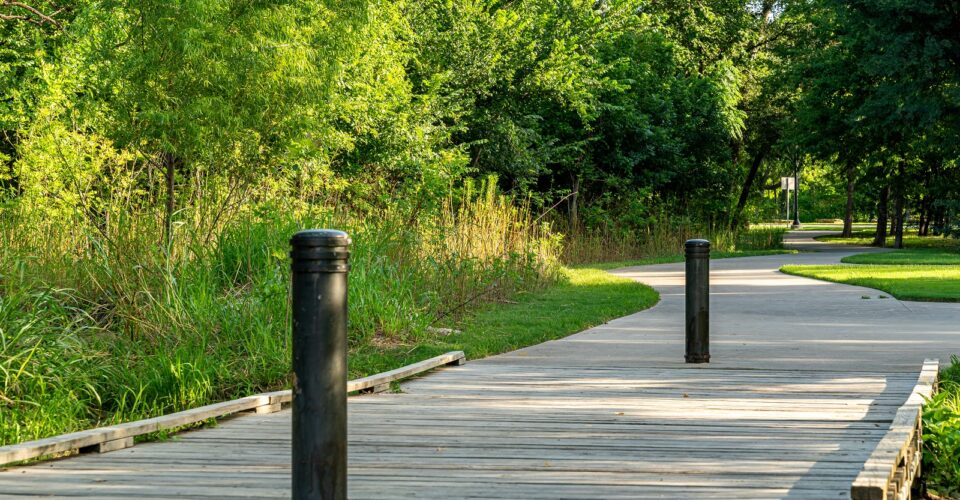 Bonnie Wenk outer loop trail bridge with trees and forestry surrounding it