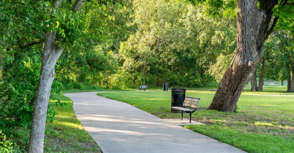 Bonnie Wenk outer loop trail a park bench surrounded by trees and forestry