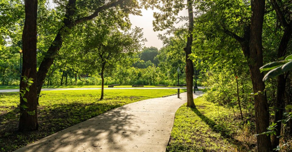Bonnie Wenk outer loop trail with trees and forestry surrounding it