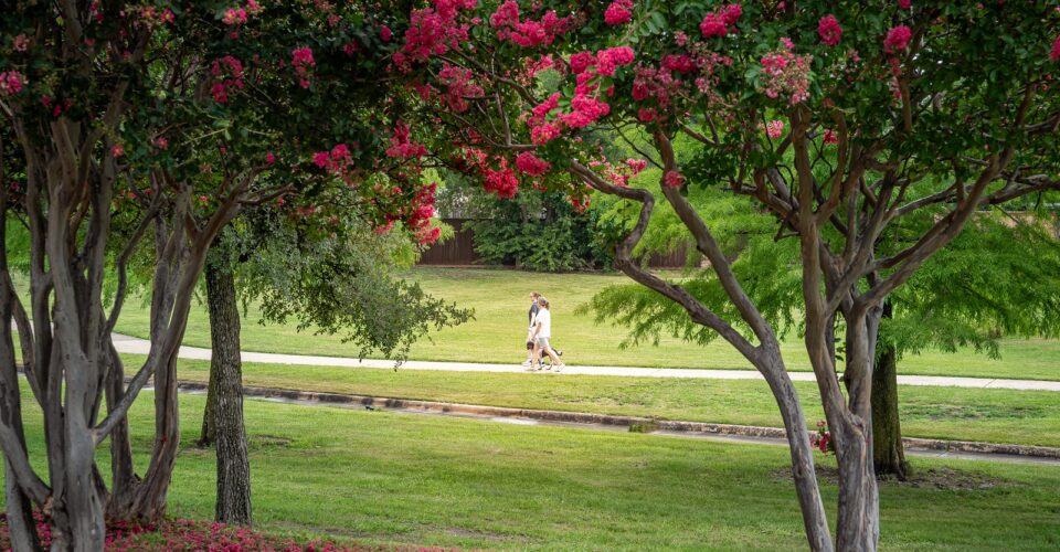 Cottonwood Creek Trail with a shot of crape myrtle trees in the foreground and people walking on the trail in the background