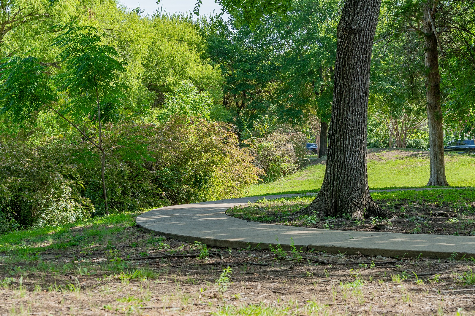 E.L. Tinker Taylor memorial park with green grass and a walking path