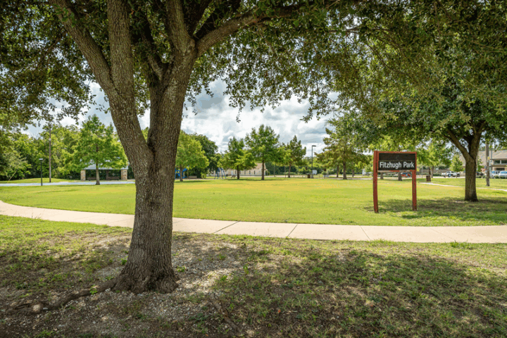 Fitzhugh Park Loop