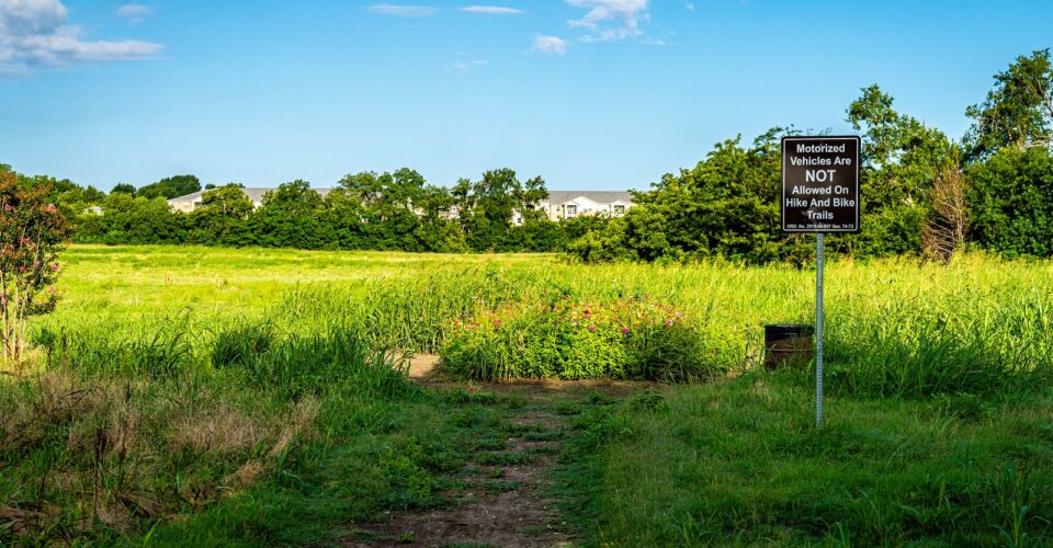 Gray branch park open green space, wildflowers, and trails.