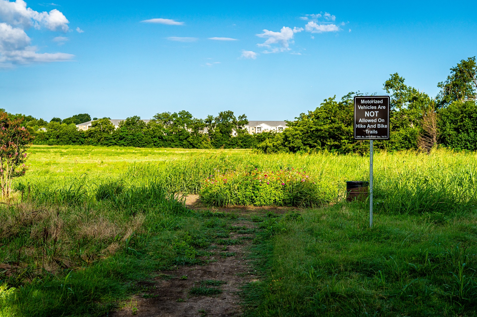 Gray branch park open green space, wildflowers, and trails.