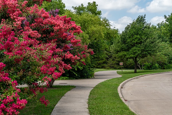 Rowlett Creek Trail