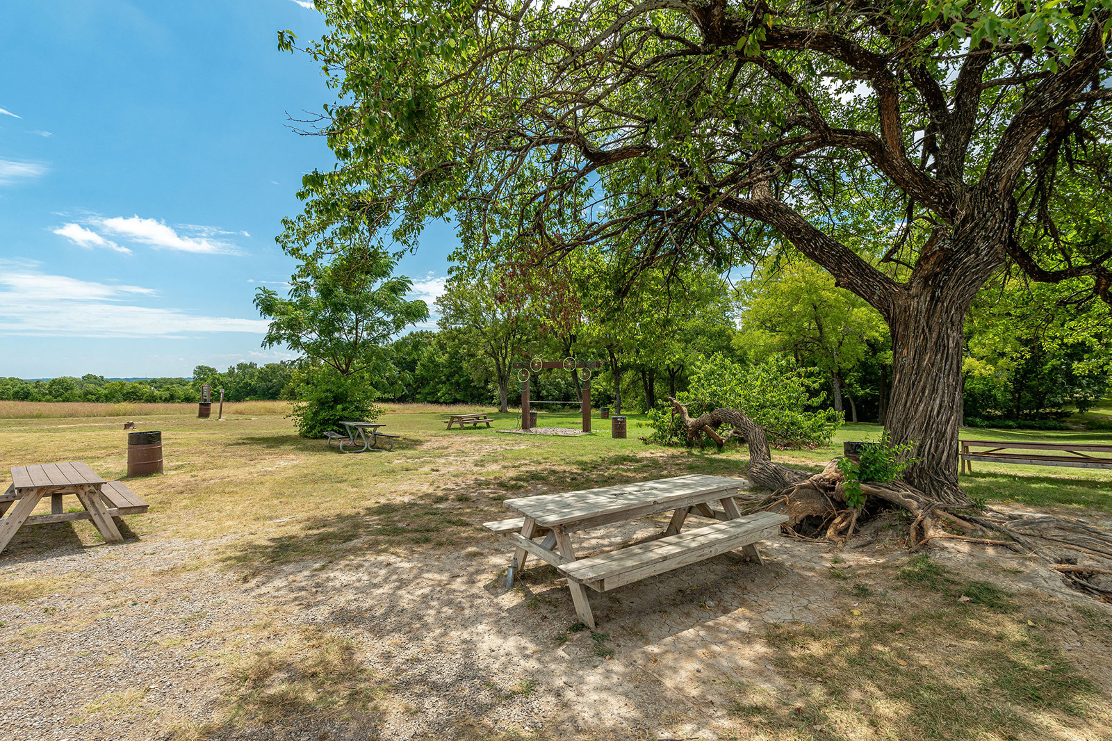A large tree provides shade over wooden picnic tables in a grassy park area on a sunny day, with more tables and a barbecue grill visible in the background.