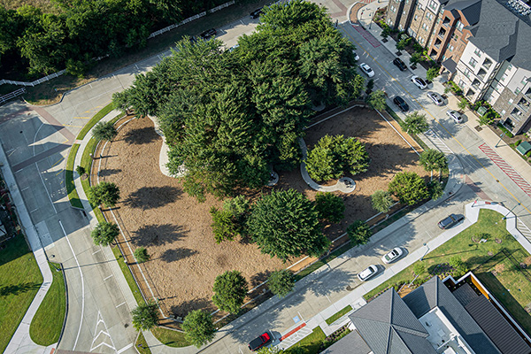 Aerial view of a city park with dense trees and pathways, surrounded by streets, parked cars, and nearby residential buildings.