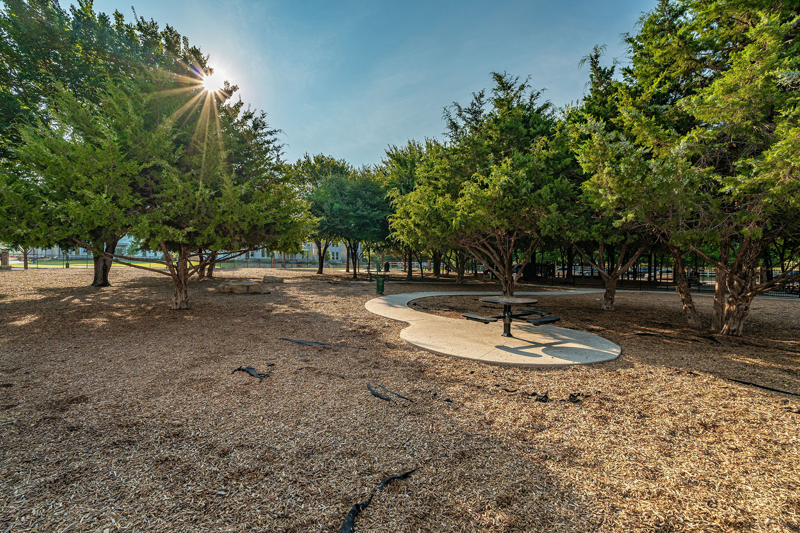 A sunlit park area with a concrete path, picnic table, and benches surrounded by trees and wood chip ground cover.