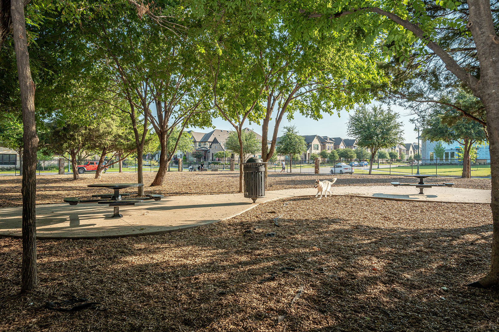 A fenced dog park with picnic tables, benches, and trees providing shade; a white dog stands near the center on a sunny day.