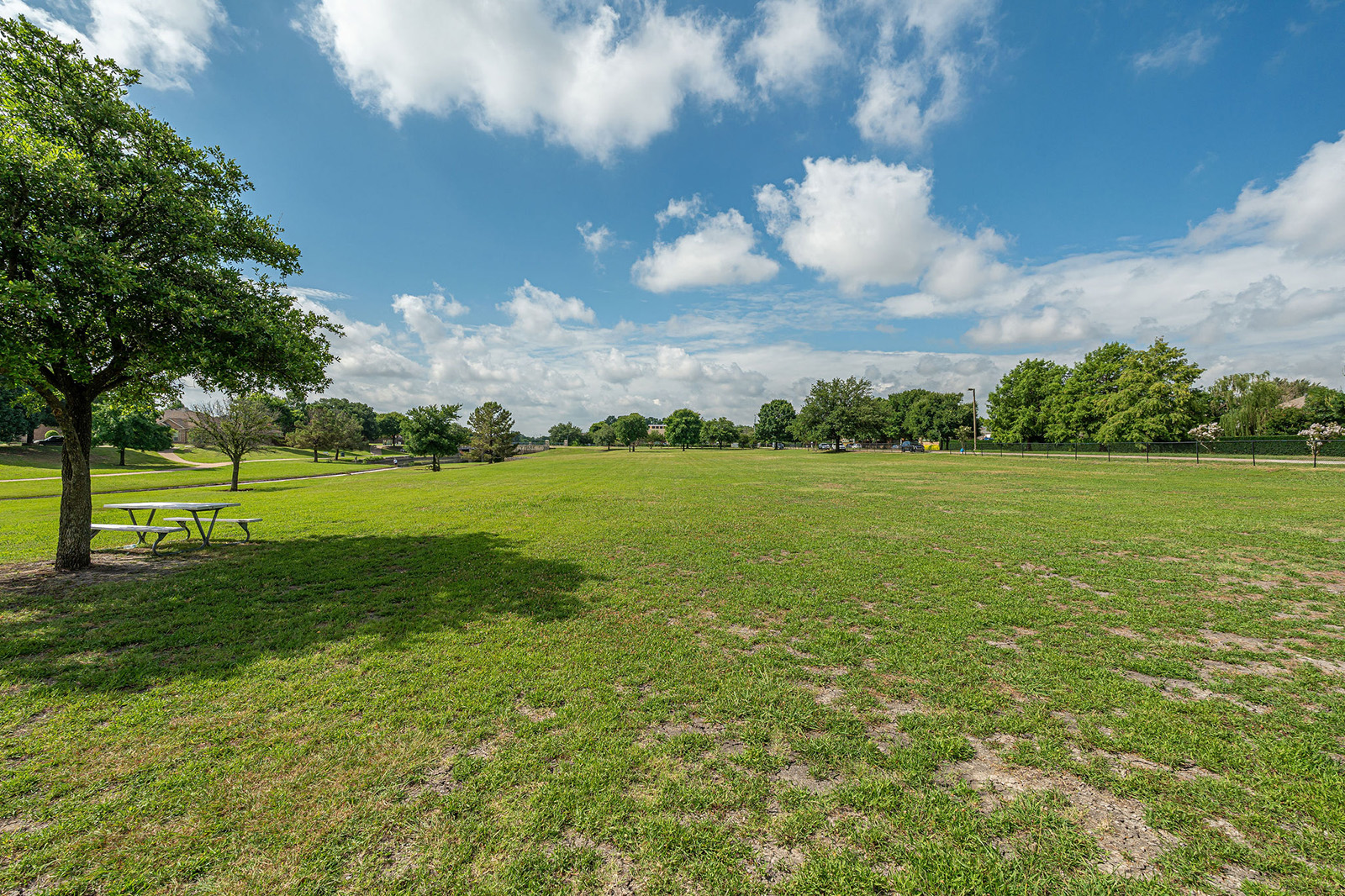 A large open grassy field with scattered trees, a blue sky with clouds, and a metal picnic table to the left.