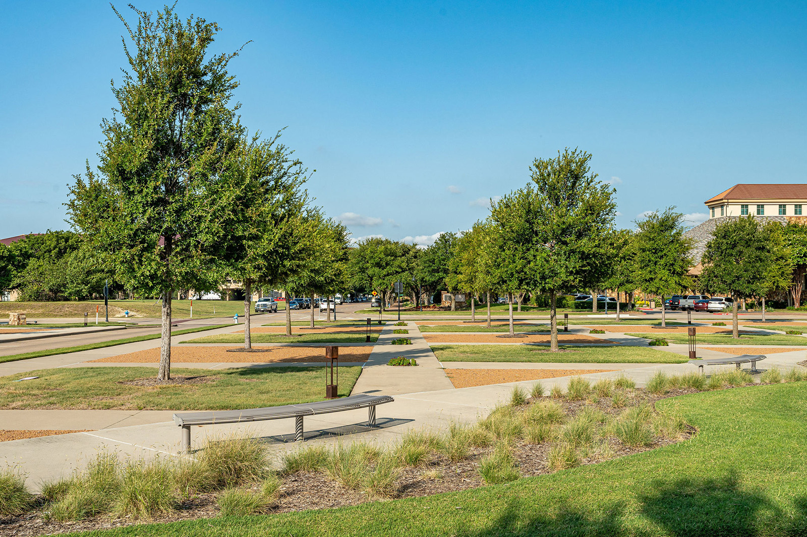 A park with evenly spaced trees, walking paths, benches, and grassy areas under a clear blue sky, with buildings and parked cars in the background.