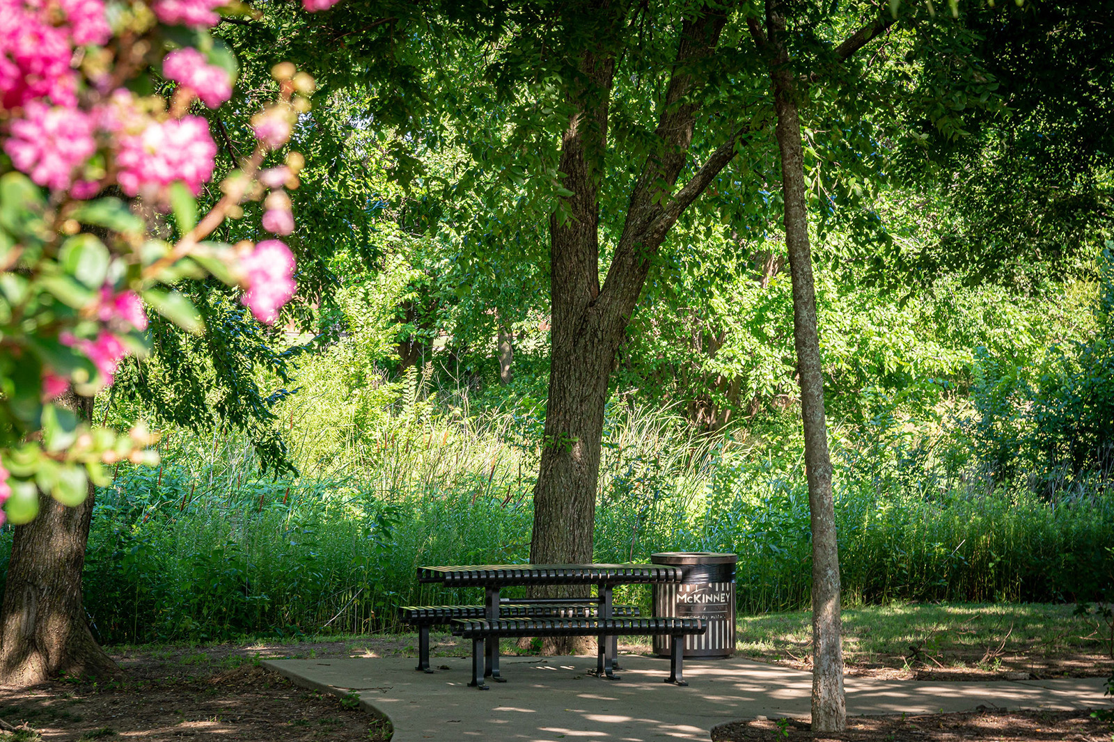 Metal picnic table and trash can on a paved area beneath leafy trees in a sunlit park, with pink flowers in the foreground.