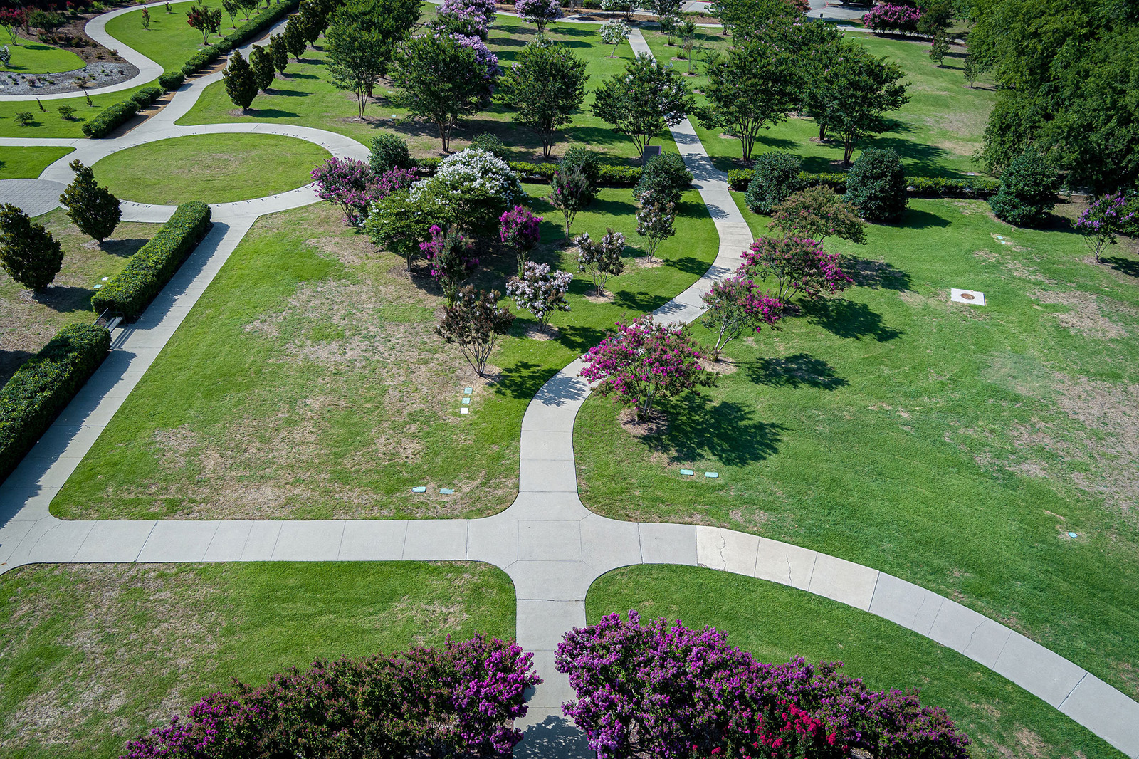 Aerial view of a park featuring intersecting concrete walkways, green lawns, trees, and flowering shrubs.