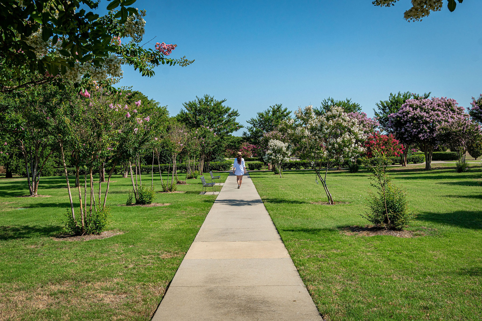 A person walks alone on a concrete path through a green park with trees and blooming flowers under a clear blue sky.