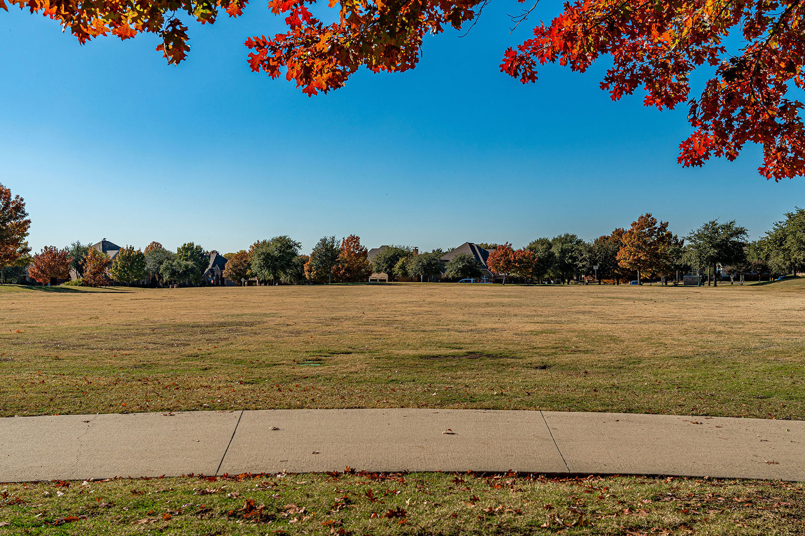 A grassy open field in a park with a sidewalk in the foreground, trees with autumn leaves in the background, and clear blue sky overhead.