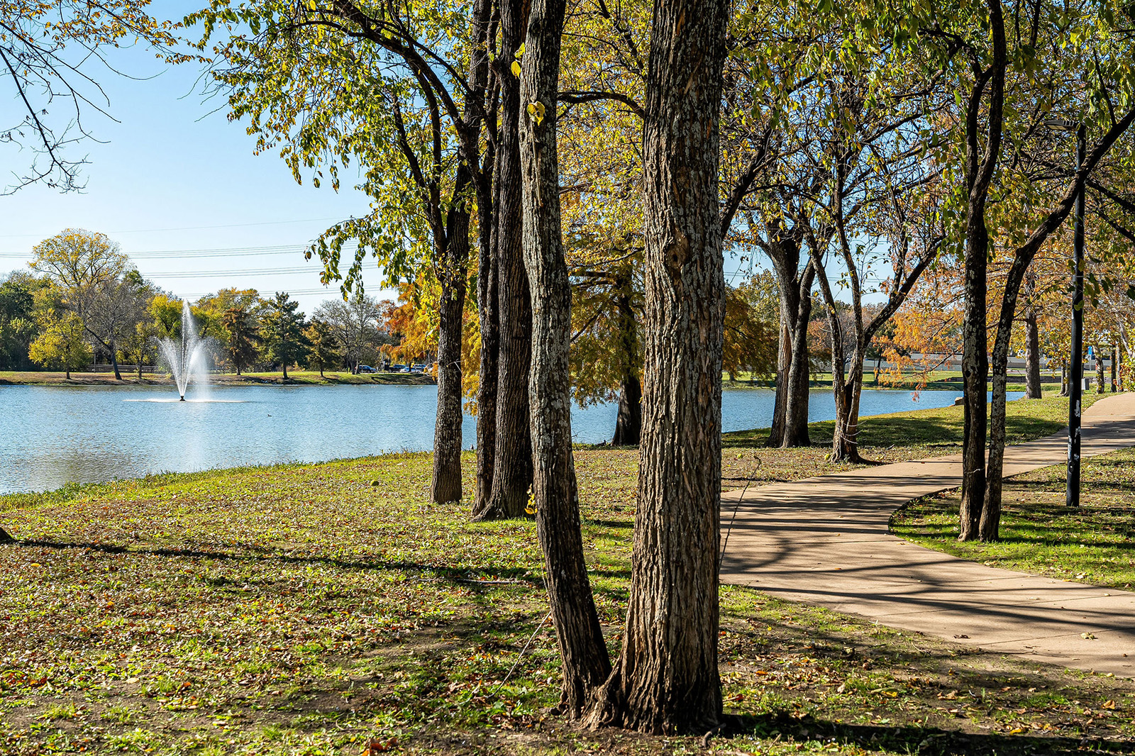 A paved path curves through a park with tall trees beside a lake, where a water fountain sprays in the distance under a clear blue sky.