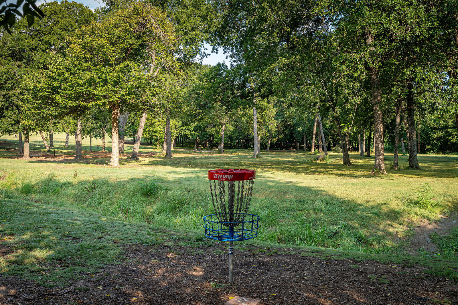 A disc golf basket stands in a grassy park area surrounded by trees on a sunny day.