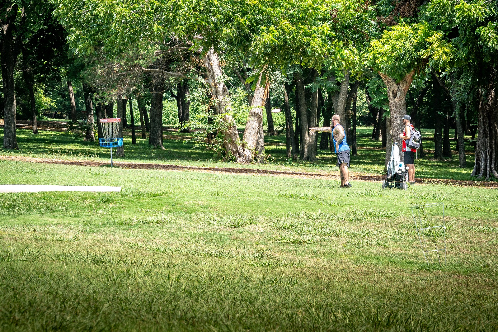 alex clark disc golf course with a man throwing a disc