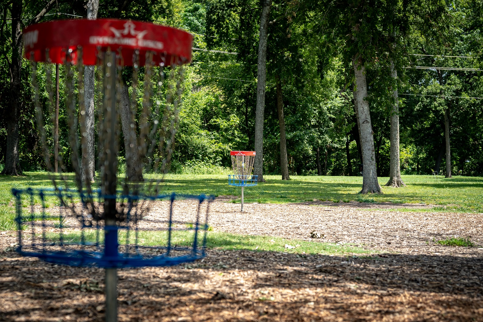 alex clark disc golf course with one basket up close and another in the background amongs the trees of the course