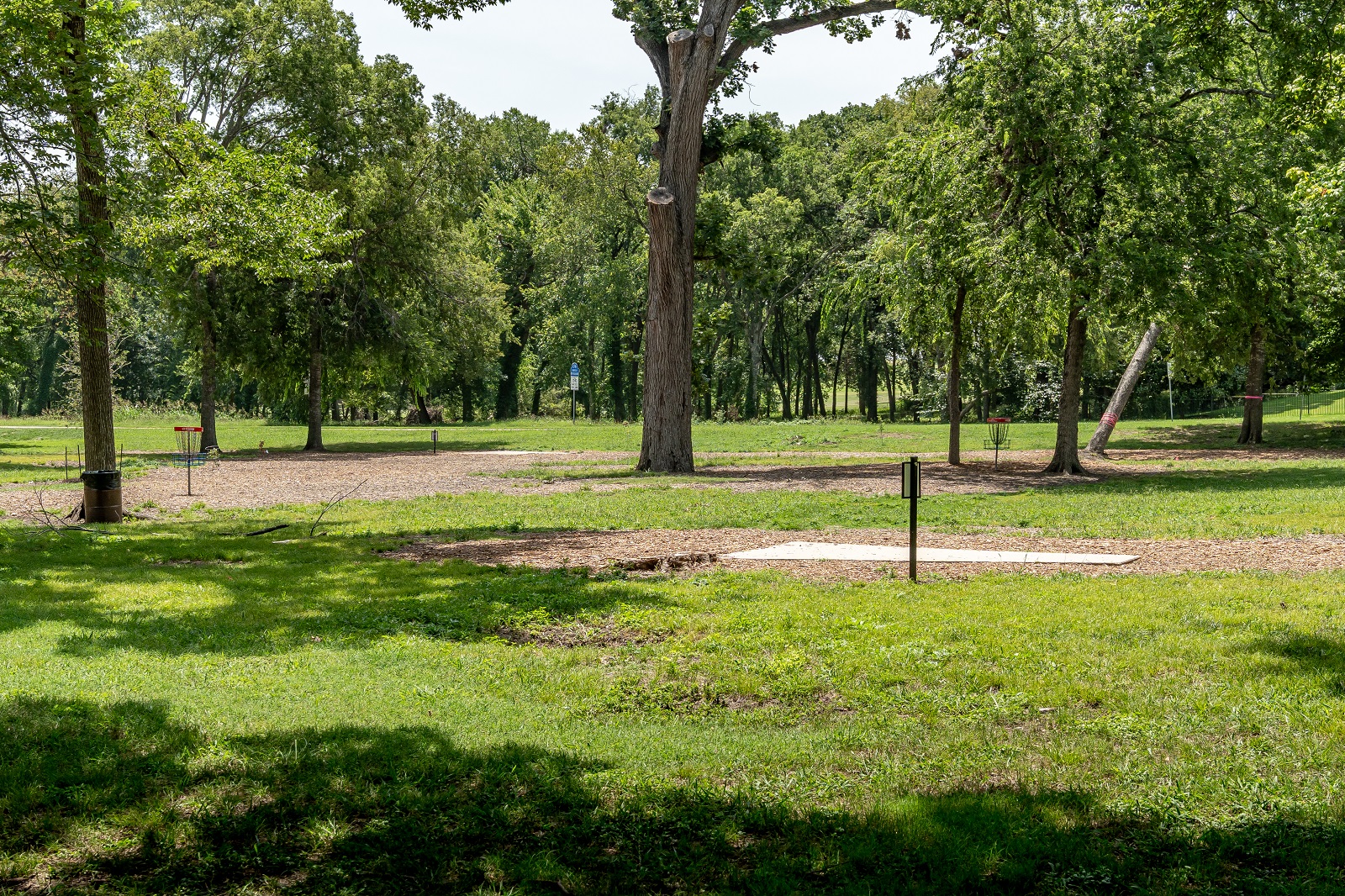 alex clark disc golf course with tee box amongst the trees