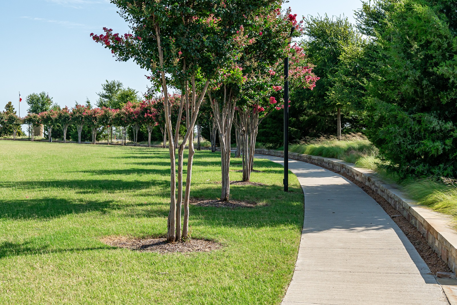 crescent park with crape myrtle trees and walking trail