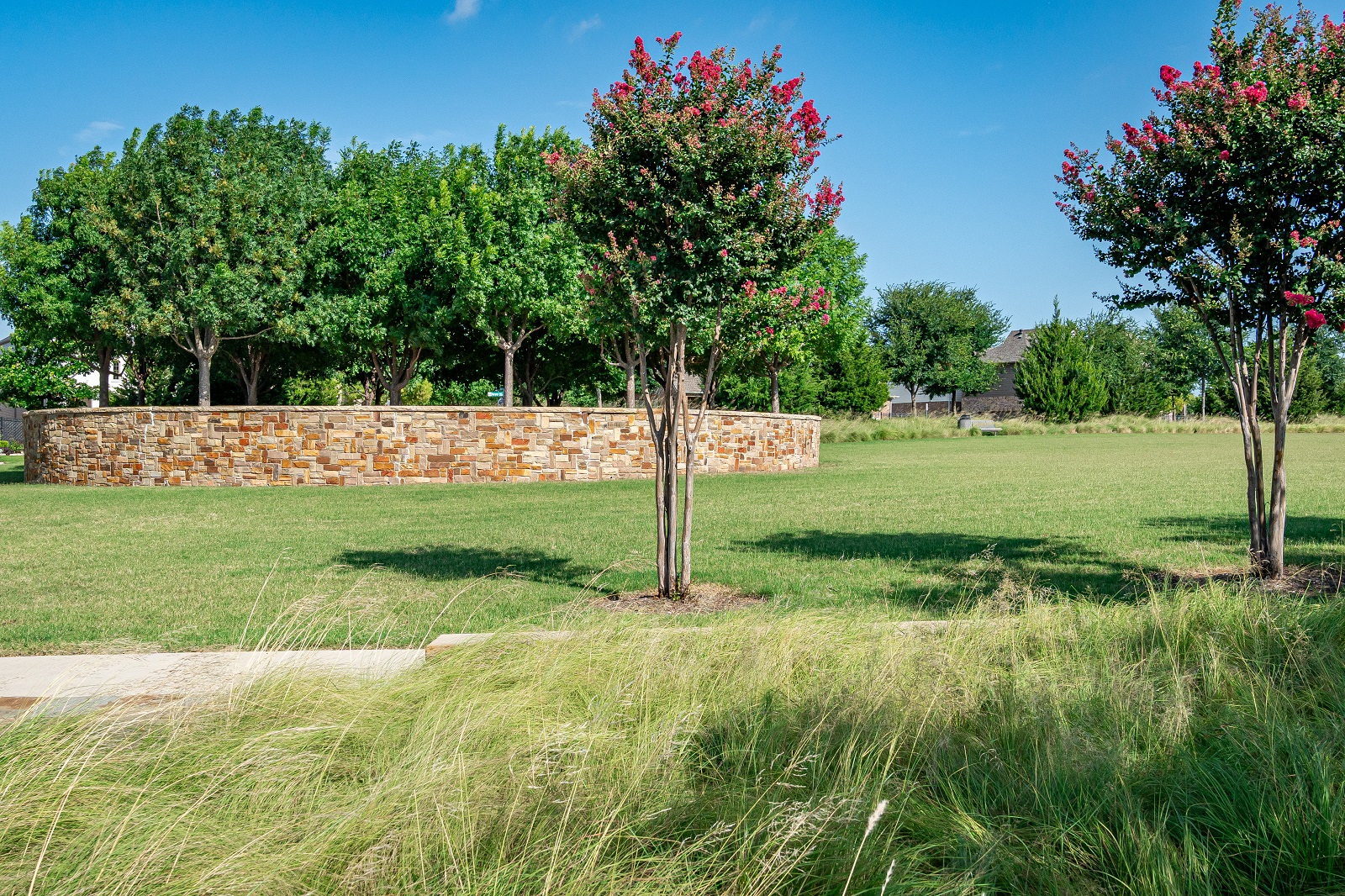 crescent park with grassy area, plants in foreground and crape myrtle trees and circular stone seating area in background
